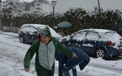 Día de Nieve